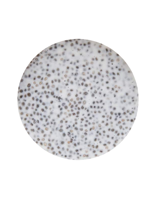 Chia Pudding - FMP