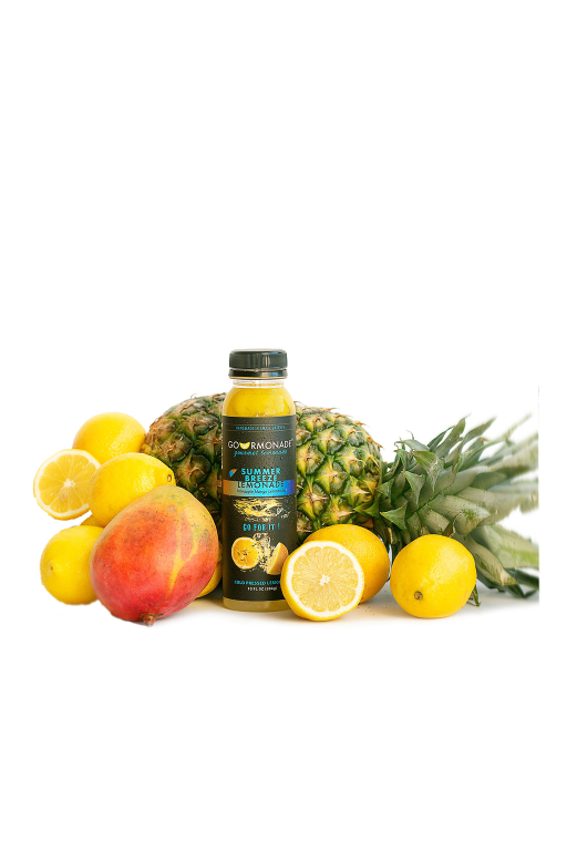 Gourmonade Wholesale - 1 Case (12 Bottles)